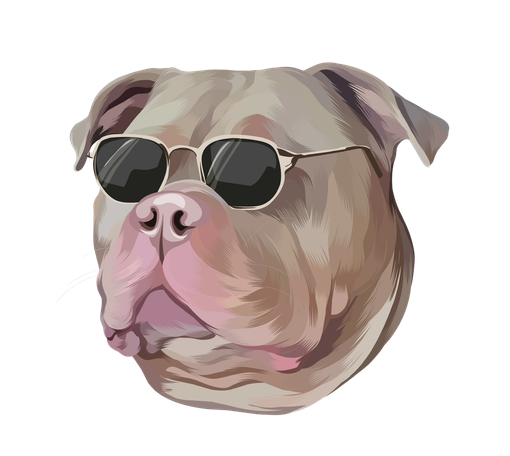 Tuktuk wearing sunglasses