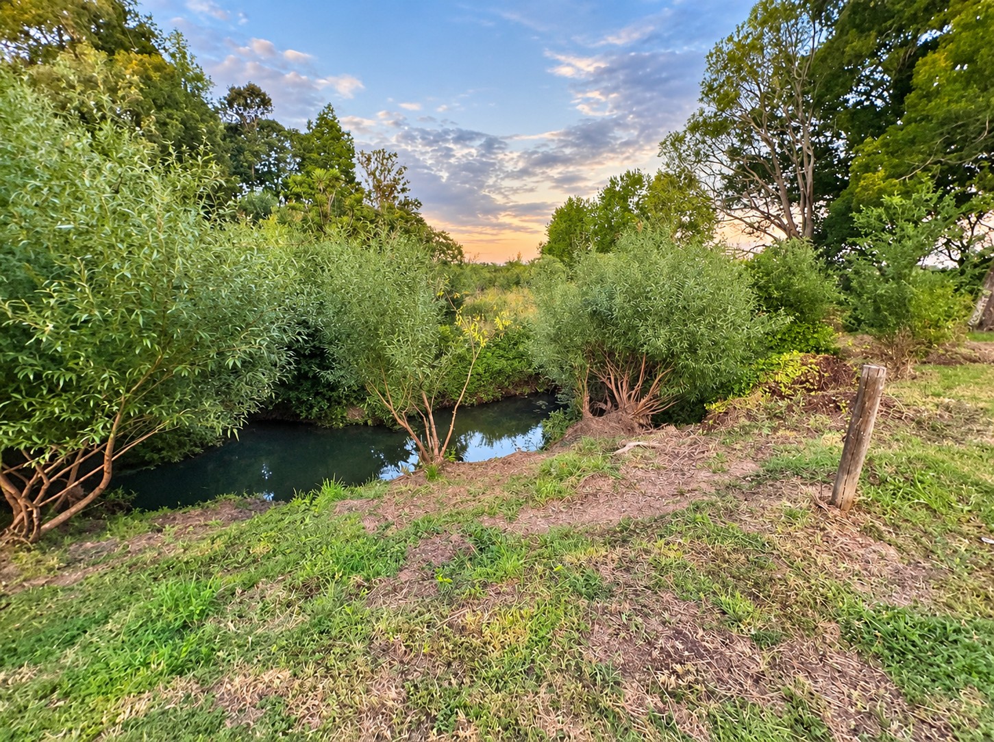 Tree-lined stream beside a grassy bank