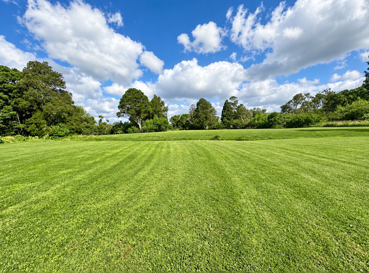 Wide green field surrounded by trees at Alfriston Dog Park