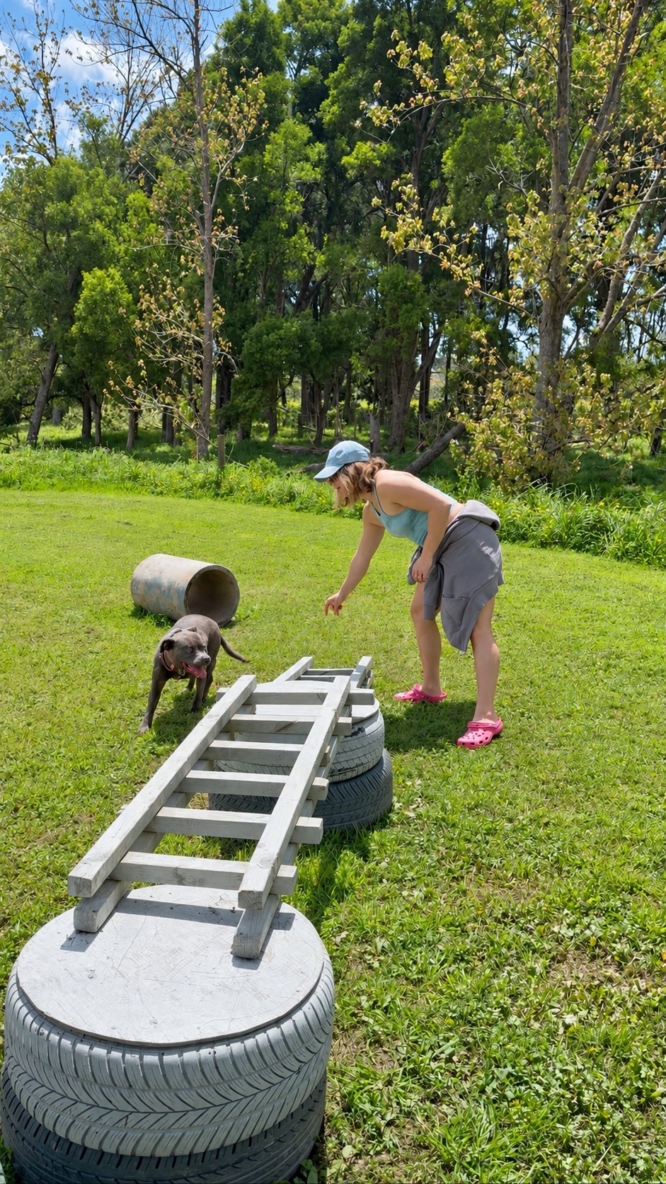 Dog and visitor beside the park’s agility obstacles